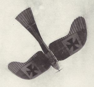 German Taube plane.  The same as in the podcast.  Courtesy of Wikipedia.com